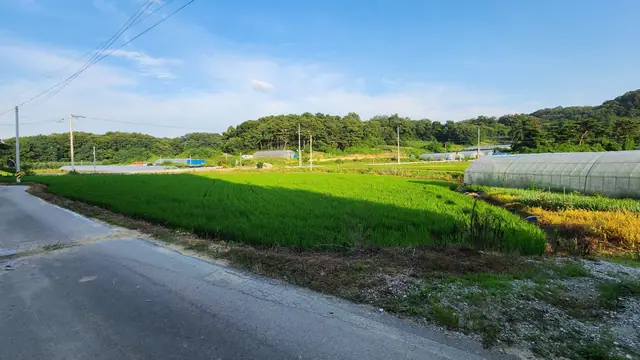 청주시 흥덕구 수의동 수의동 삼거리 코너 약 988평 카페 추천 부지