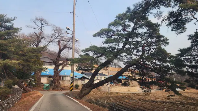 청주시 상당구 남일면 가중리 가중리 앞이 트인 약 211평 전원주택 부지