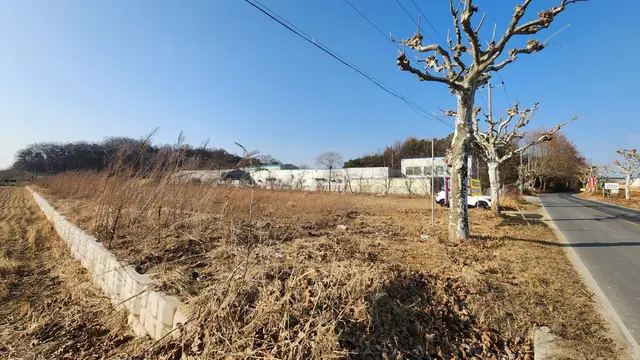 청주시 청원구 주중동 주중동 약 99평 신축 예정 음식점 통임대
