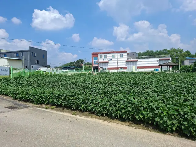 청주시 청원구 북이면 장재리 장재리 약 734평 토지·4m 도로 접함 안내