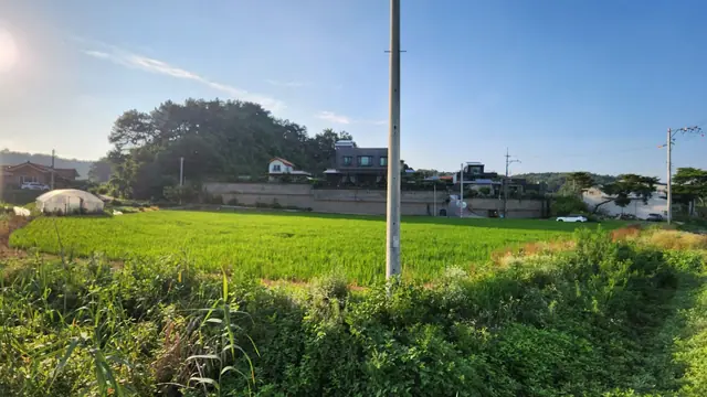 청주시 흥덕구 수의동 수의동 삼거리 코너 약 988평 카페 추천 부지