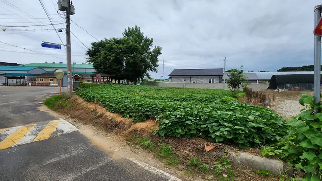 청주시 흥덕구 옥산면 덕촌리 덕촌리 신협 인근 약 189평 나대지