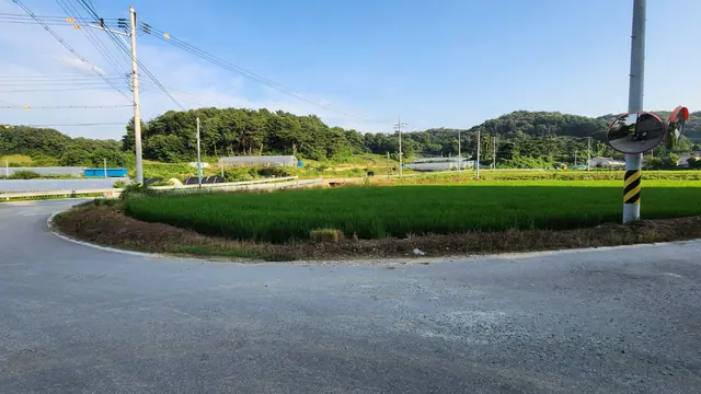 청주시 흥덕구 수의동 수의동 삼거리 코너 약 988평 카페 추천 부지