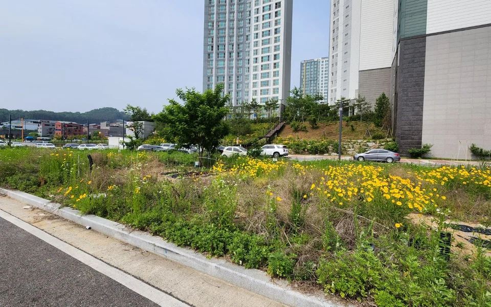 청주시 상당구 용암동 용암동 동남힐데스하임 옆 약 73평 점포택지