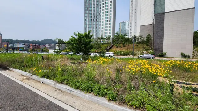 청주시 상당구 용암동 용암동 동남힐데스하임 옆 약 73평 점포택지