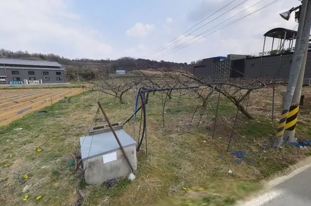세종시 금남면 영곡리 영곡리 약 434평 토지·현재 과수원 사용