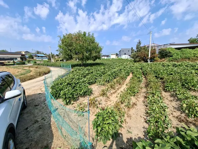 청주시 청원구 북이면 장재리 장재리 약 734평 토지·4m 도로 접함 안내