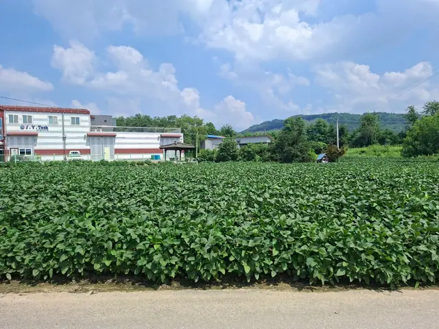 청주시 청원구 북이면 장재리 장재리 약 734평 토지·4m 도로 접함 안내