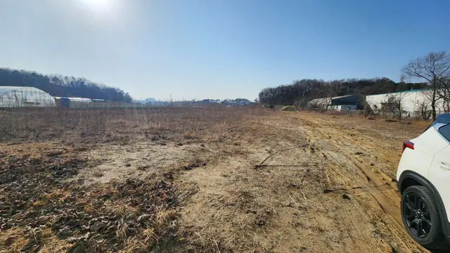 청주시 청원구 주중동 주중동 약 99평 신축 예정 음식점 통임대