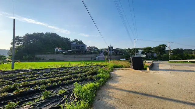 청주시 흥덕구 수의동 수의동 삼거리 코너 약 988평 카페 추천 부지