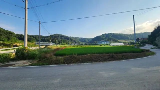 청주시 흥덕구 수의동 수의동 삼거리 코너 약 988평 카페 추천 부지